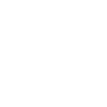 ariat